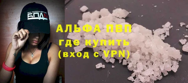 стафф Новозыбков