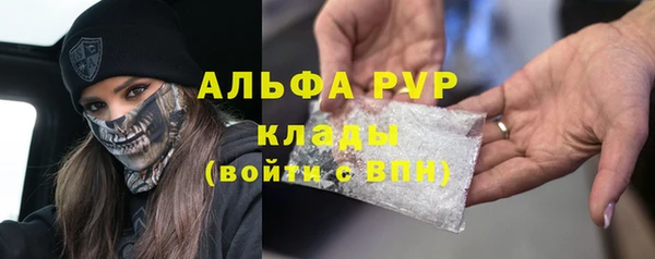 стафф Новозыбков