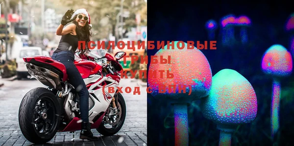 дурь Нягань