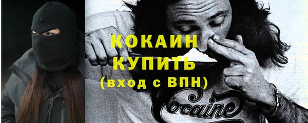 гидропоника Няндома