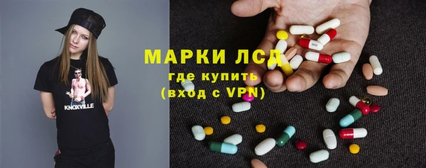 стафф Новозыбков