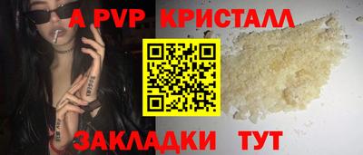 спиды Гатчина