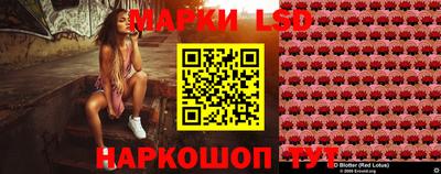 спиды Гатчина
