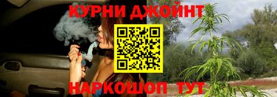 спиды Гатчина