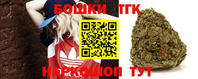 спиды Гатчина