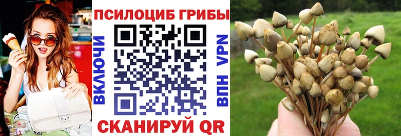 kraken как войти Киреевск Псилоцибиновые грибы MAGIC MUSHROOMS дарнет шоп