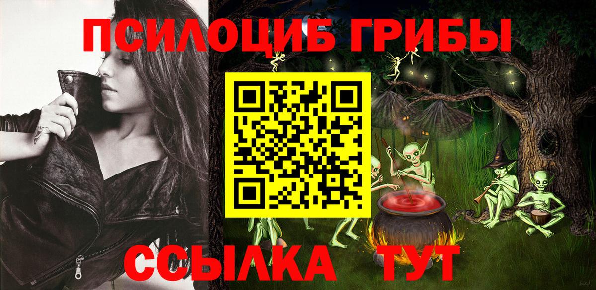сколько стоит  Вход с VPN  Киреевск  Псилоцибиновые грибы мицелий 