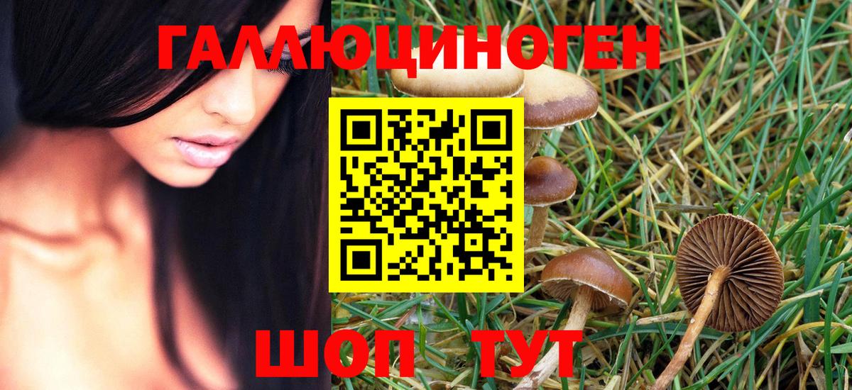Псилоцибиновые грибы ЛСД Киреевск