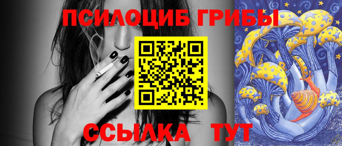 Галлюциногенные грибы Psilocybe  Киреевск  Псилоцибиновые грибы Psilocybine cubensis 