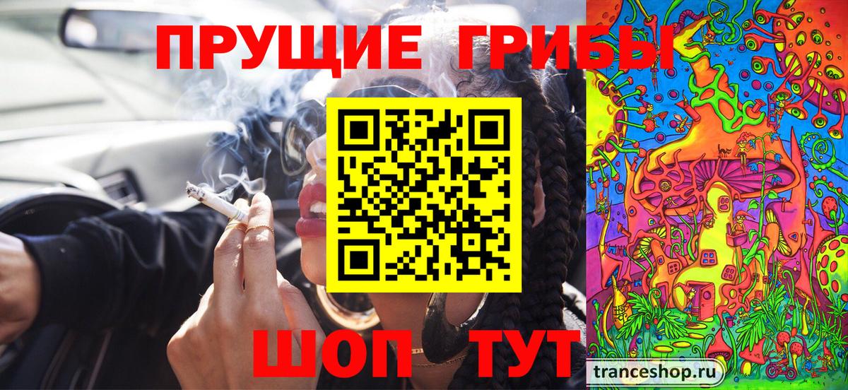 Галлюциногенные грибы Psilocybine cubensis Киреевск